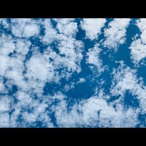 Meet your Posher, Elena